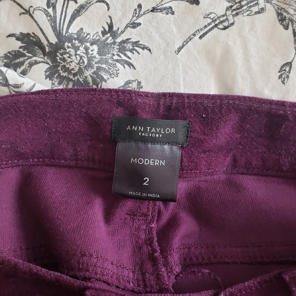 Anne Taylor Factory Purple Velvet Pants - Picture 5 of 5
